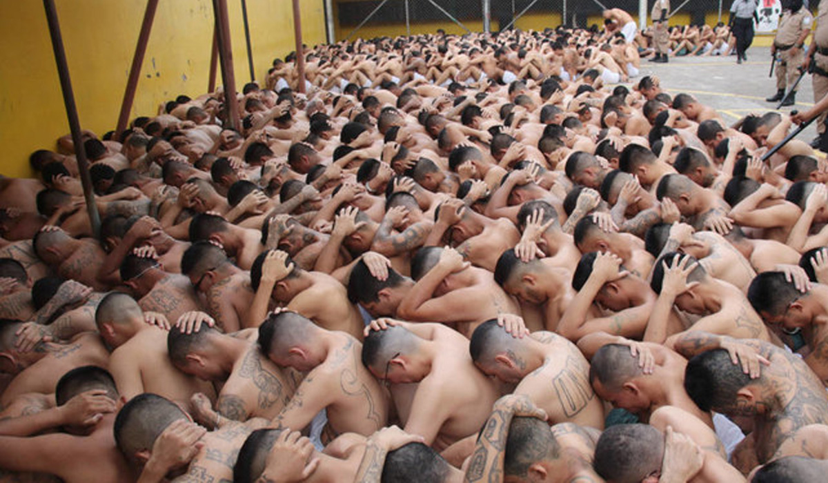 Members of the Mara Salvatrucha and Barrio 18 gangs under custody